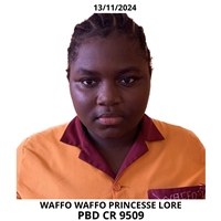 WAFFO WAFFO